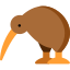 kiwi 1